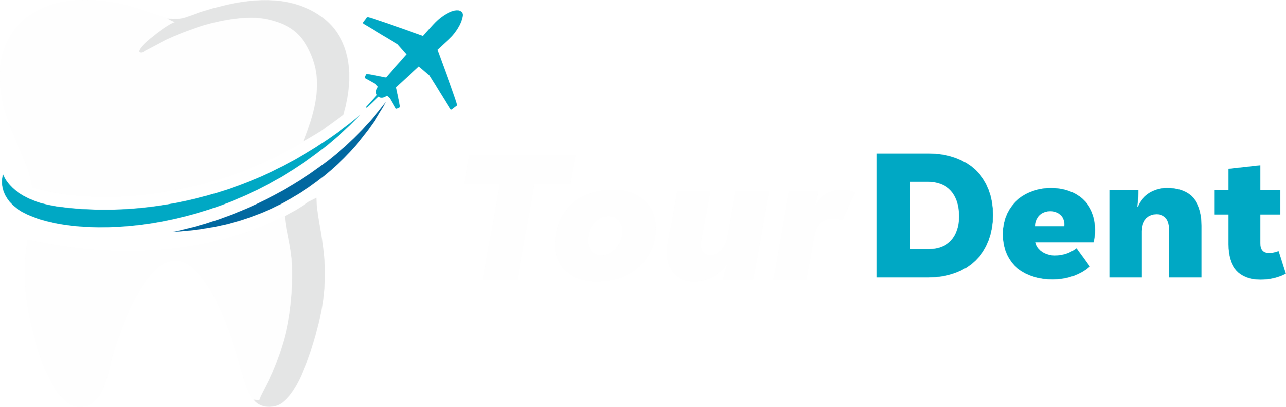 TourDent logo — dental tourism brand combining a tooth and airplane icon
